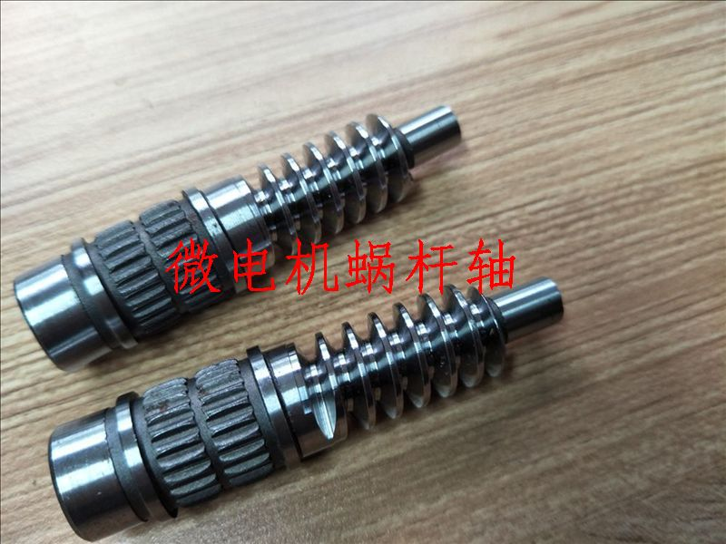微電機軸蝸桿
